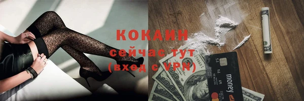 гидра Покров
