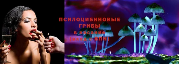 индика Покровск