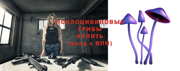 индика Покровск