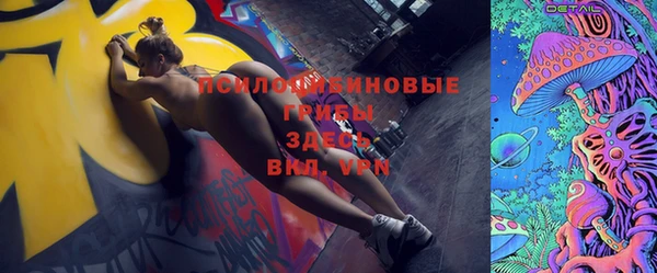 индика Покровск