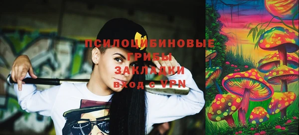 индика Покровск