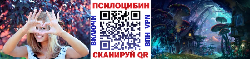 где можно купить   Всеволожск  Галлюциногенные грибы мицелий 