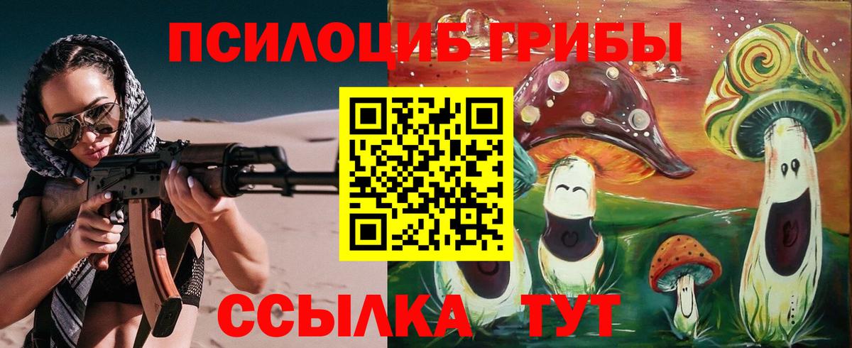 Галлюциногенные грибы GOLDEN TEACHER Всеволожск