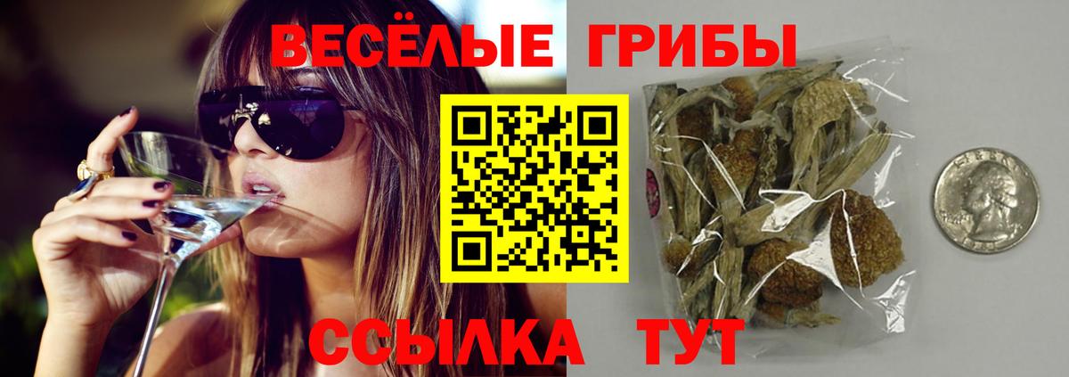 Галлюциногенные грибы Psilocybe Всеволожск