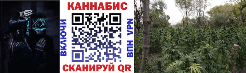гидра ССЫЛКА  Всеволожск  Марихуана Amnesia  что такое наркотик 